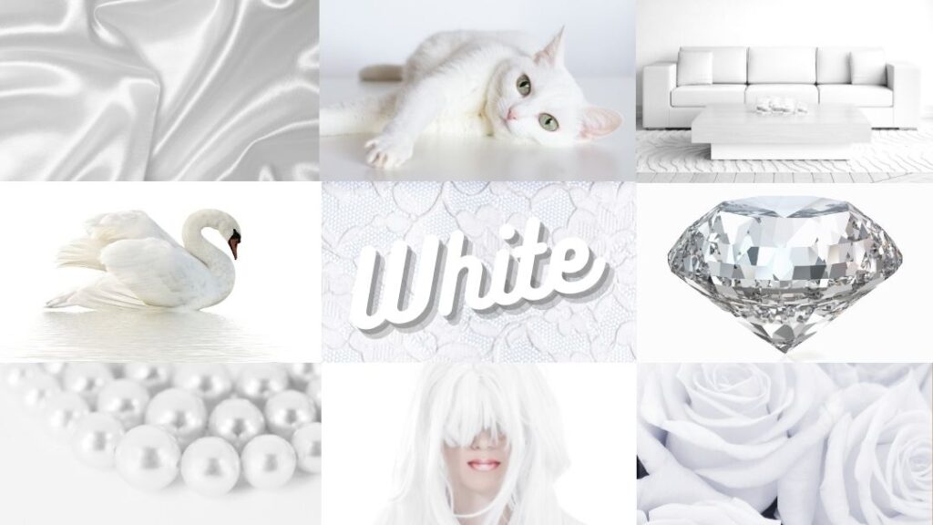 white color image fashion consultant