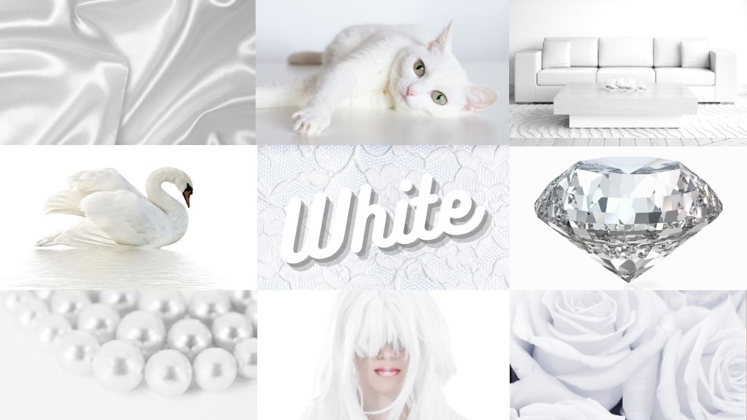 Facts About White — And Its Usage in Fashion and Art